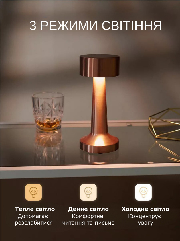 Елегантна настільна лампа в металевому дизайні